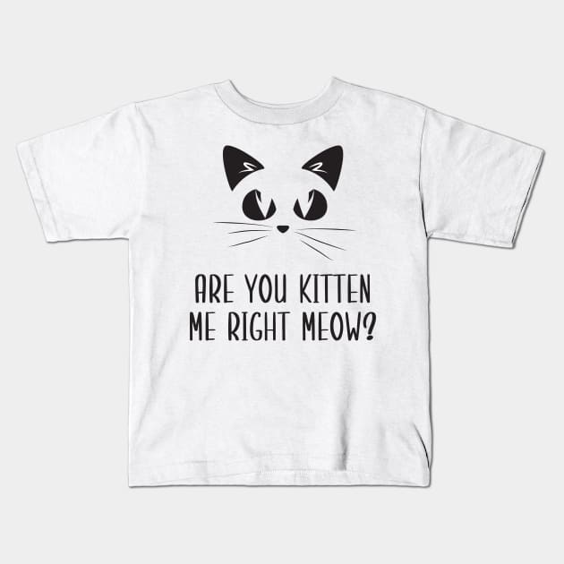 Are You Kitten Me Right Meow Kids T-Shirt by Health